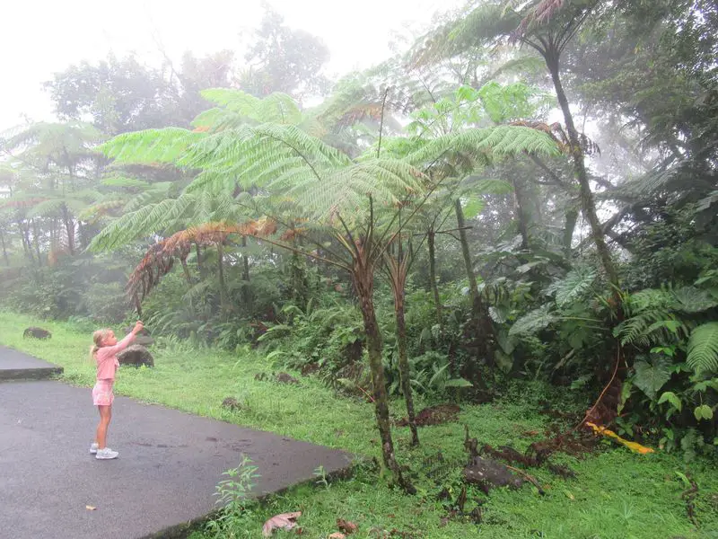 Itinéraire de 4 jours en Guadeloupe... sous la pluie : Saint-Anne, Chute du Carbet et Capesterre