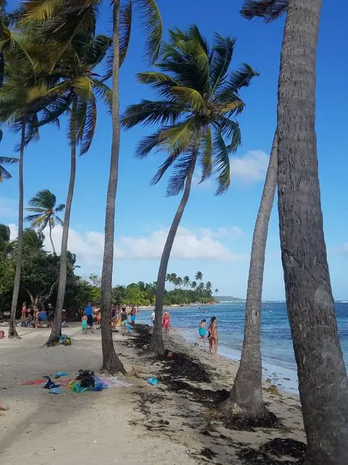 Croisière Caraïbes, embarquement et escale en Guadeloupe