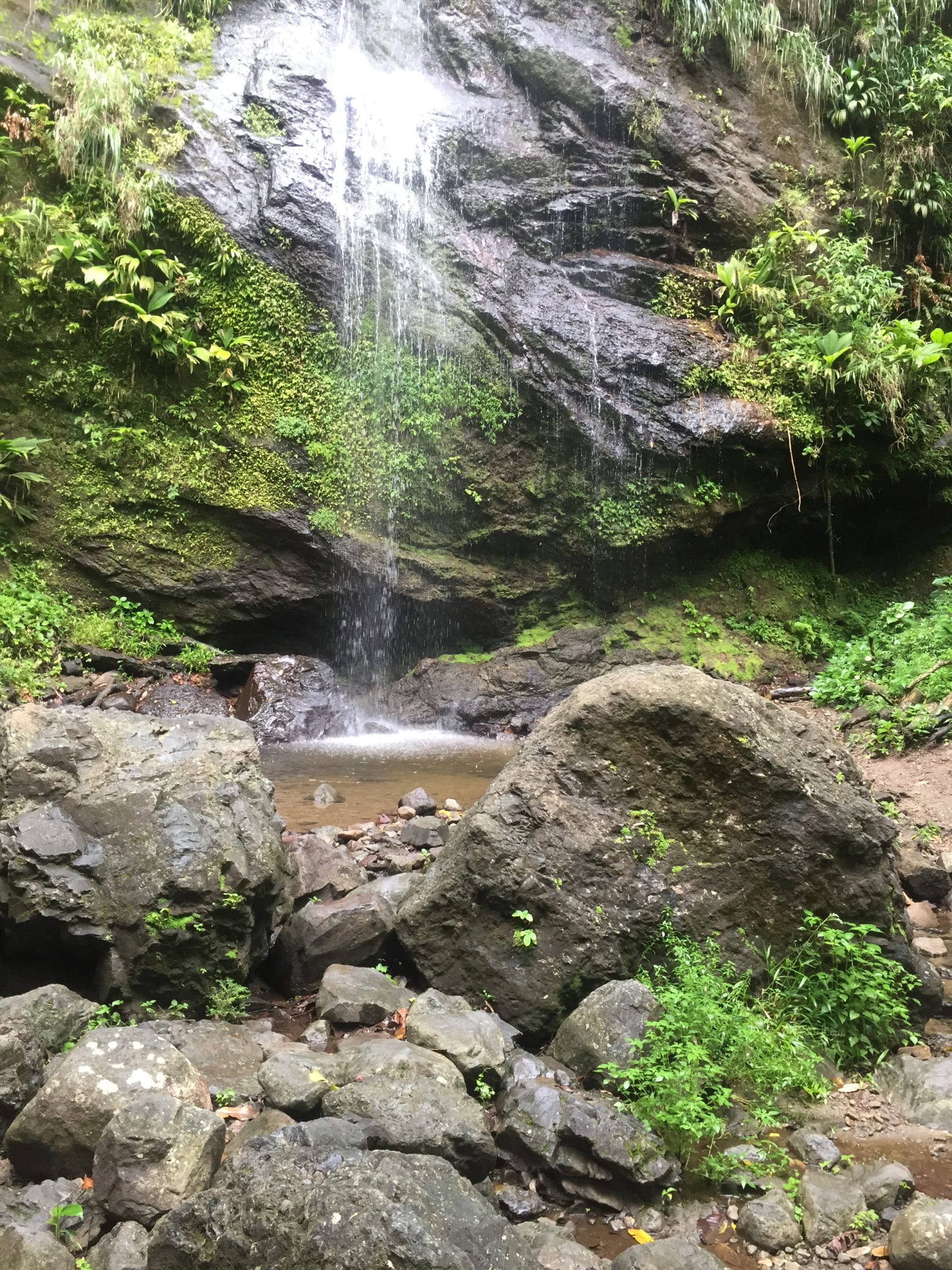 La Cascade Couleuvre : une magnifique randonnée en Martinique | Le blog ...